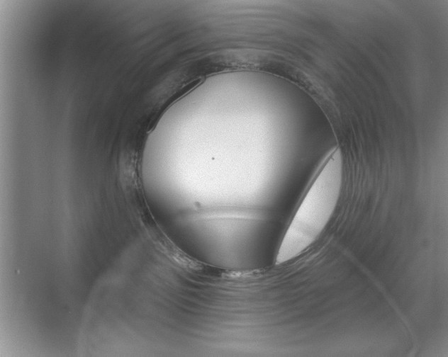 X0000073870141200608101117