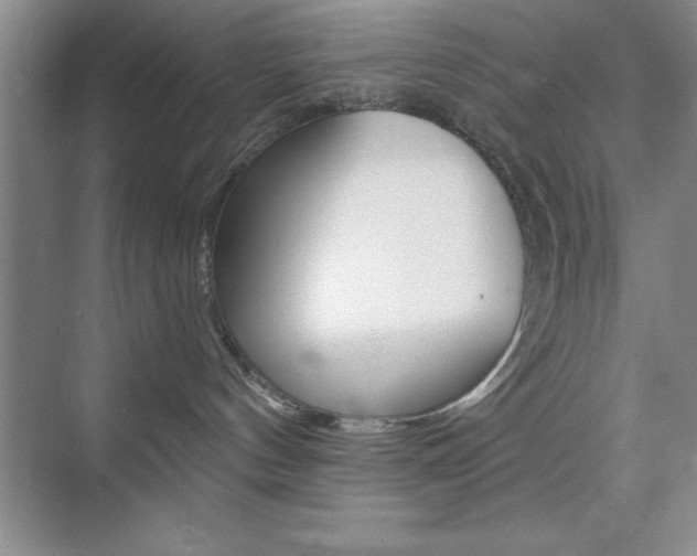 X0000073870144200608101117