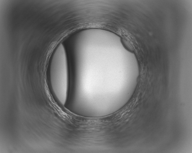 X0000073870145200608101116