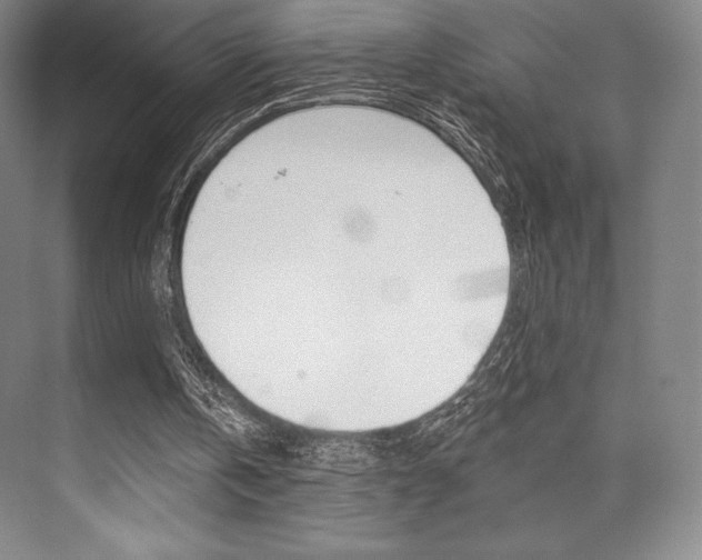 X0000073870146200608101116