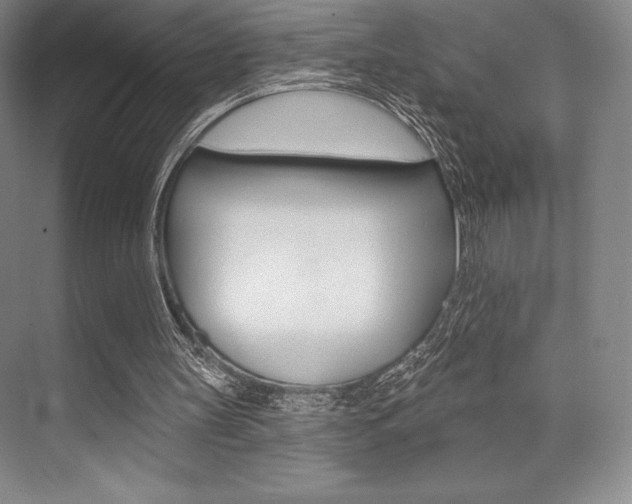 X0000073870147200608101116