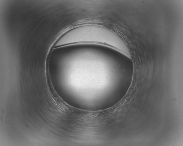 X0000073870148200608101116