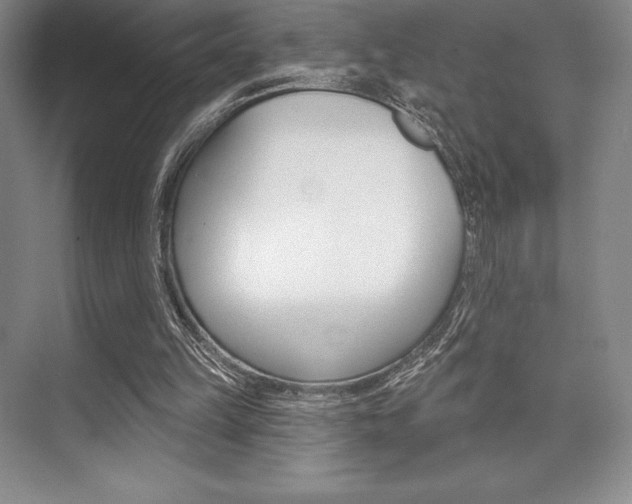 X0000073870149200608101116