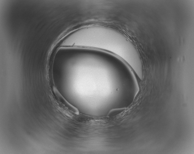 X0000073870150200608101116