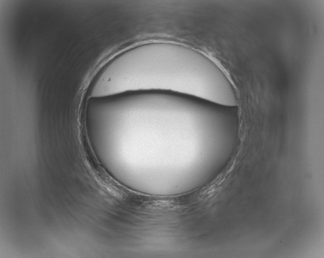 X0000073870151200608101116