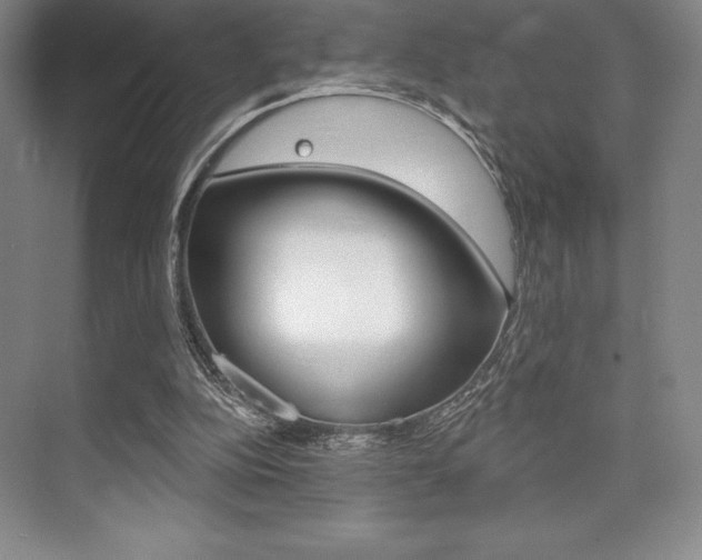 X0000073870152200608101116