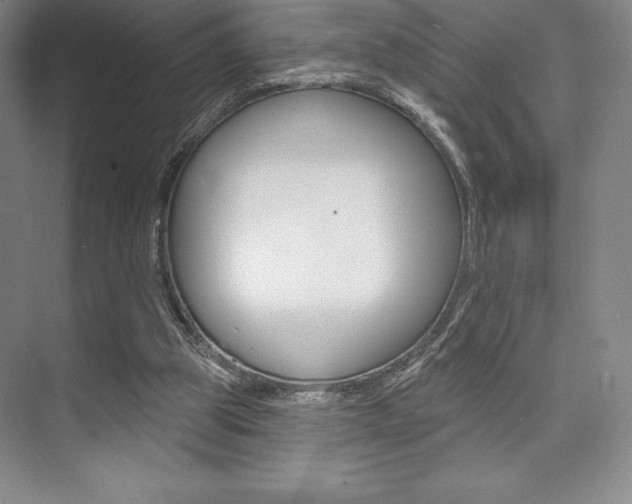 X0000073870153200608101116