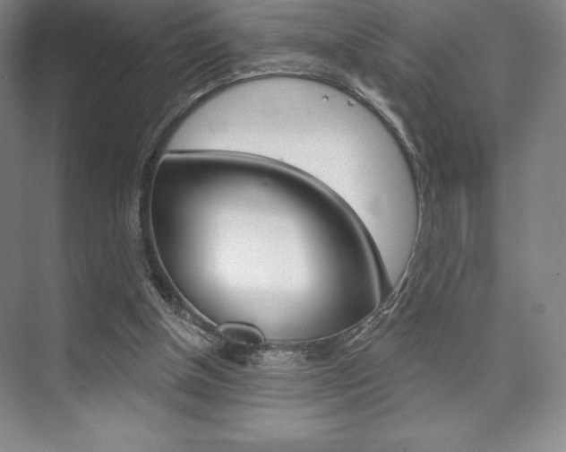 X0000073870154200608101116