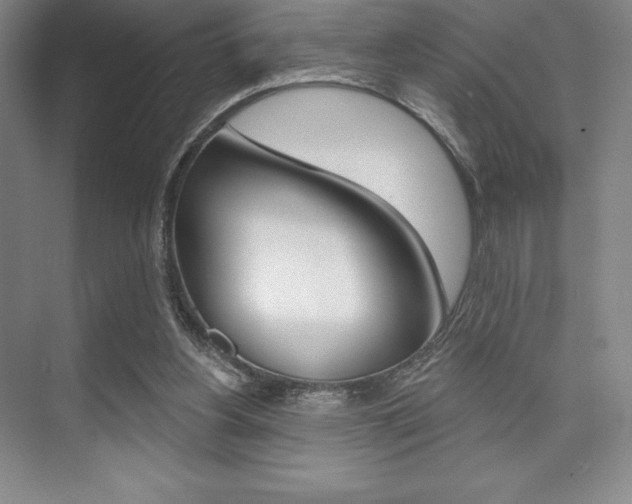 X0000073870156200608101116