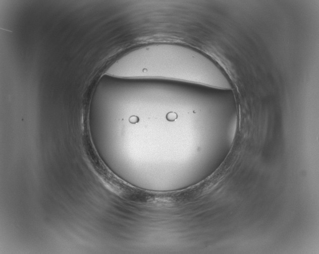 X0000073870157200608101116