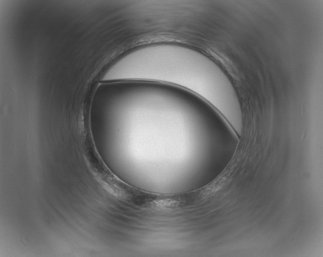 X0000073870158200608101116