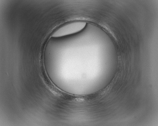 X0000073870159200608101116