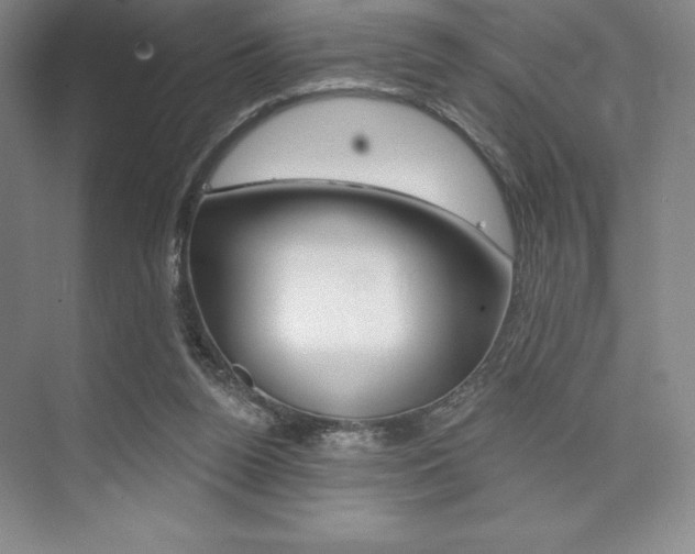 X0000073870160200608101116