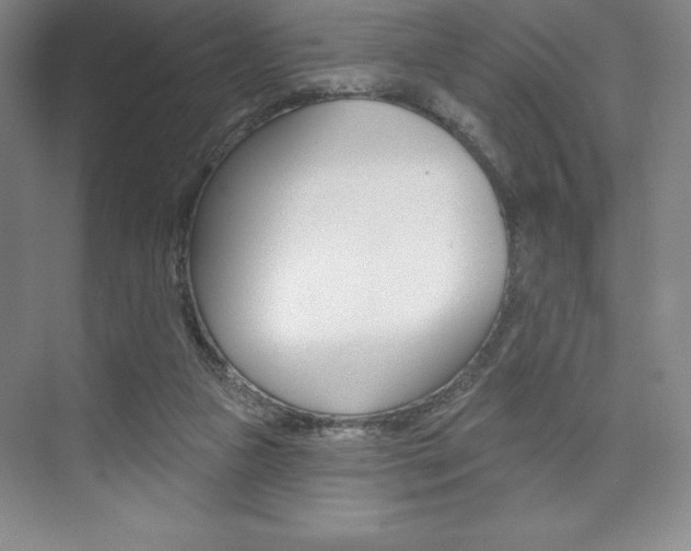 X0000073870161200608101116