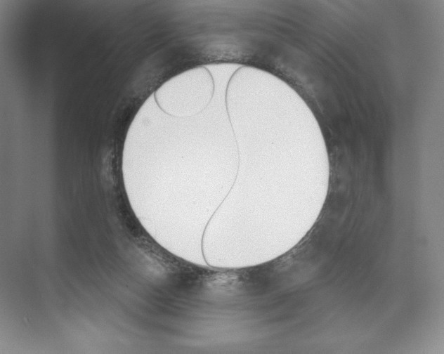 X0000073870162200608101116