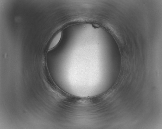 X0000073870164200608101116