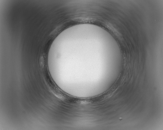 X0000073870165200608101116