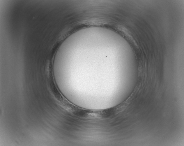 X0000073870167200608101116