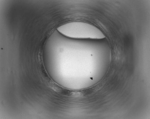 X0000073870169200608101116