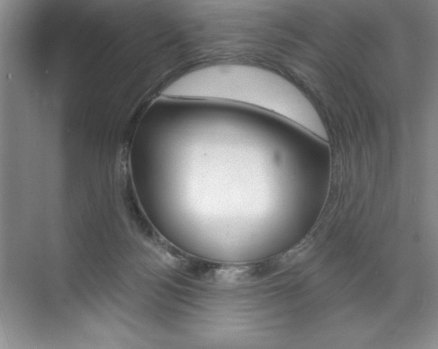 X0000073870172200608101116