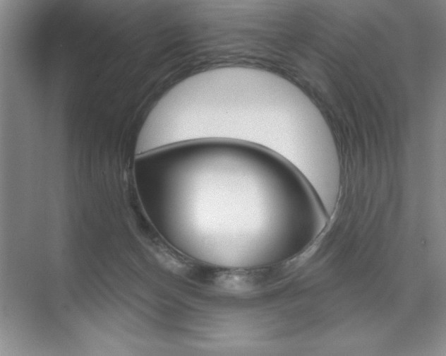 X0000073870174200608101116