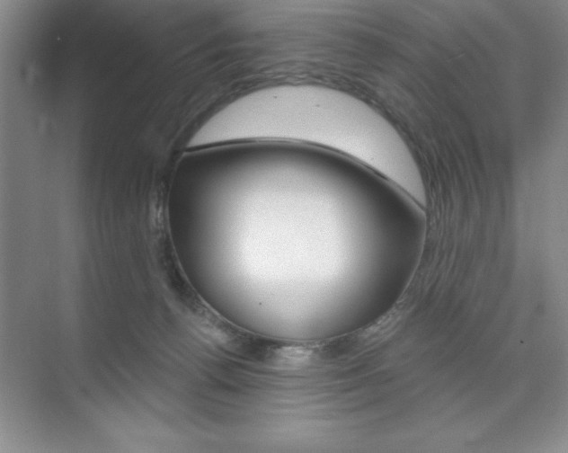 X0000073870176200608101116