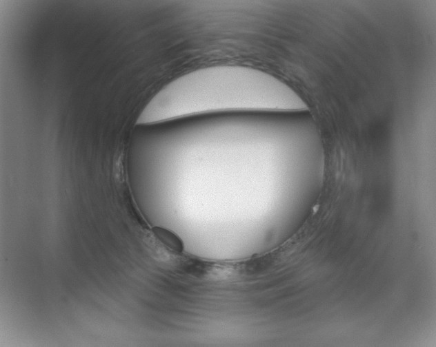 X0000073870177200608101116