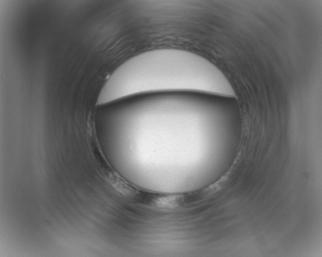 X0000073870178200608101116