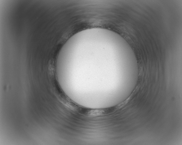 X0000073870179200608101116