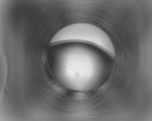 X0000073870180200608101116