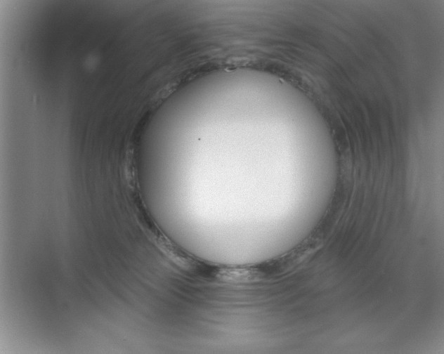 X0000073870181200608101116