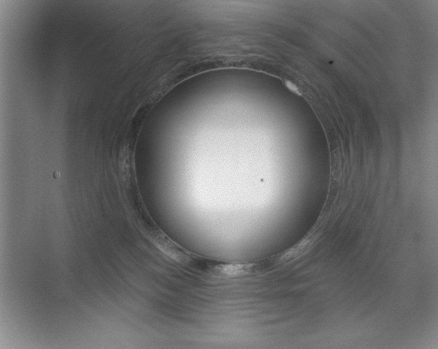 X0000073870184200608101116