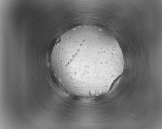 X0000073870187200608101116