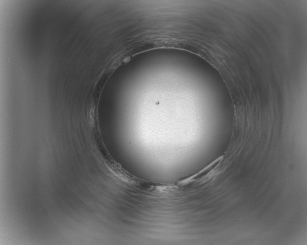 X0000073870188200608101116