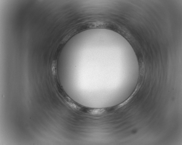 X0000073870191200608101116