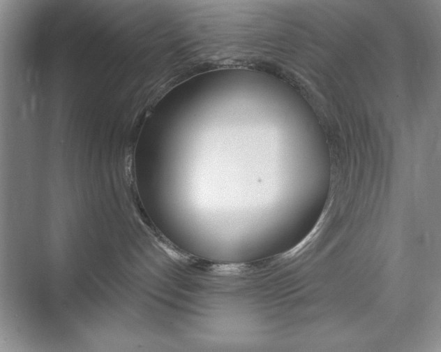 X0000073870192200608101116