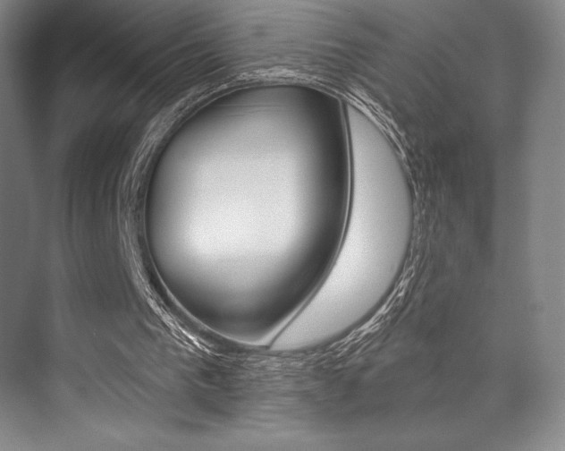 X0000073870193200608101116