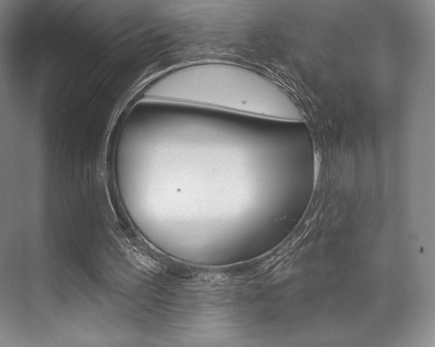 X0000073870195200608101116