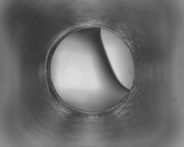 X0000073870196200608101116