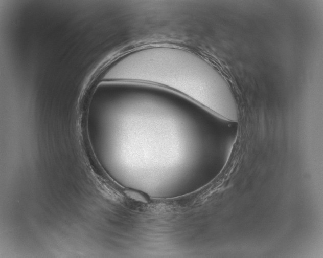 X0000073870197200608101116