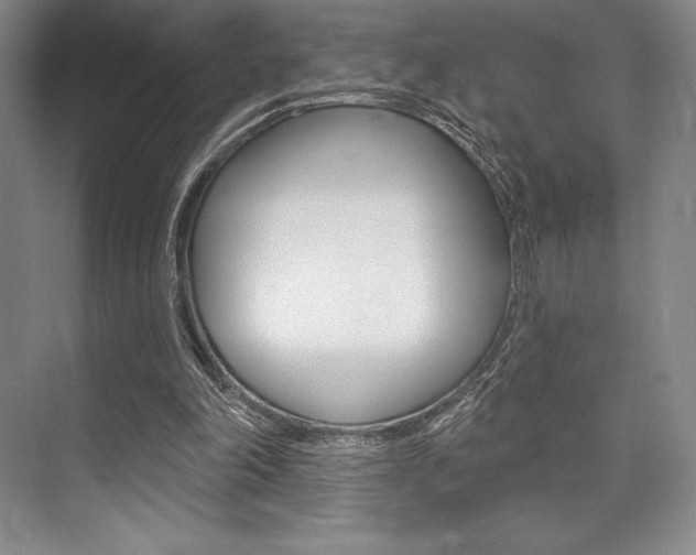 X0000073870198200608101116