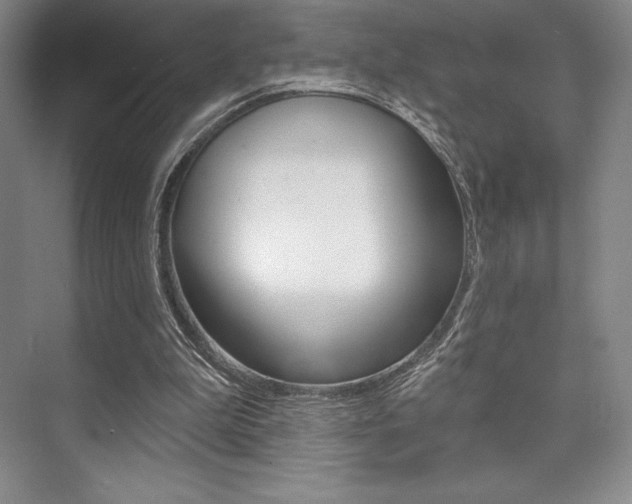 X0000073870199200608101116