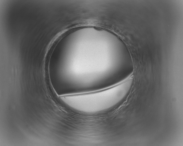 X0000073870200200608101116