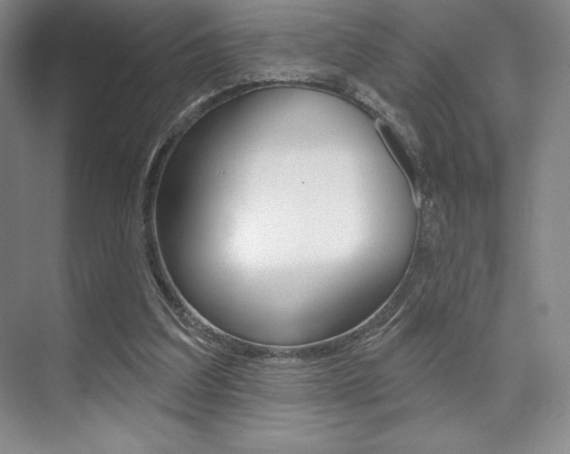 X0000073870203200608101116