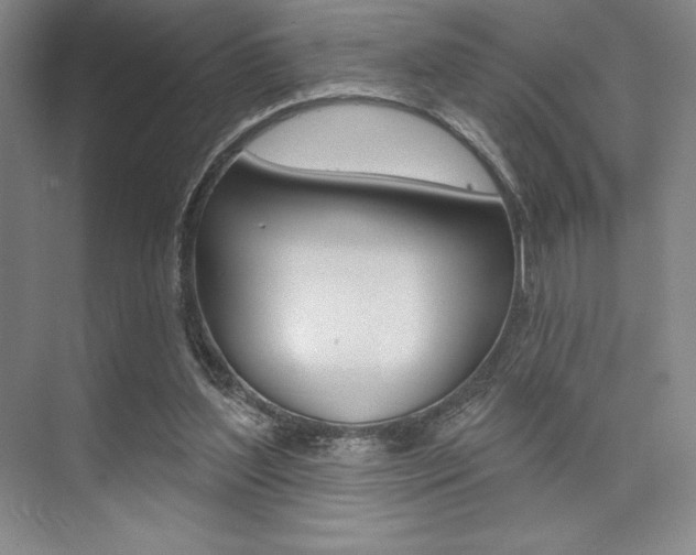 X0000073870204200608101115