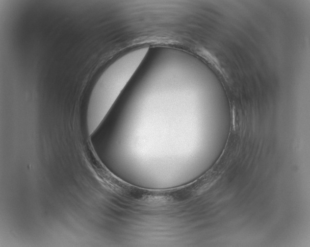 X0000073870205200608101115