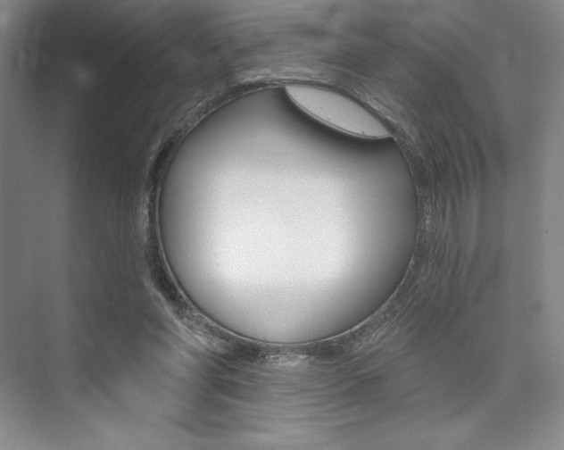 X0000073870206200608101115