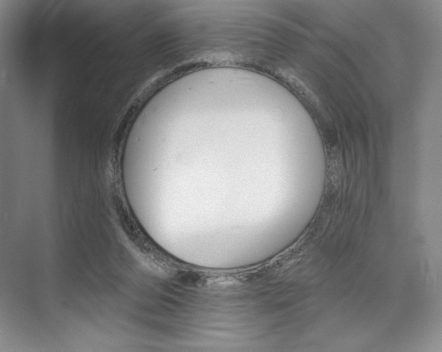 X0000073870208200608101115