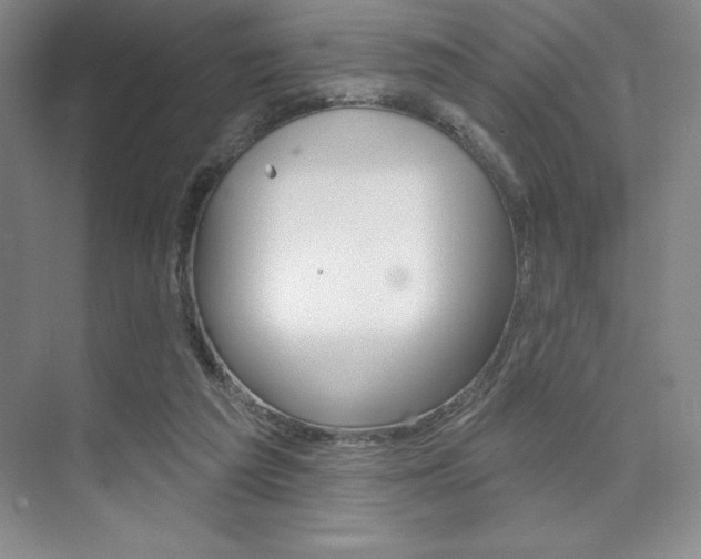 X0000073870209200608101115