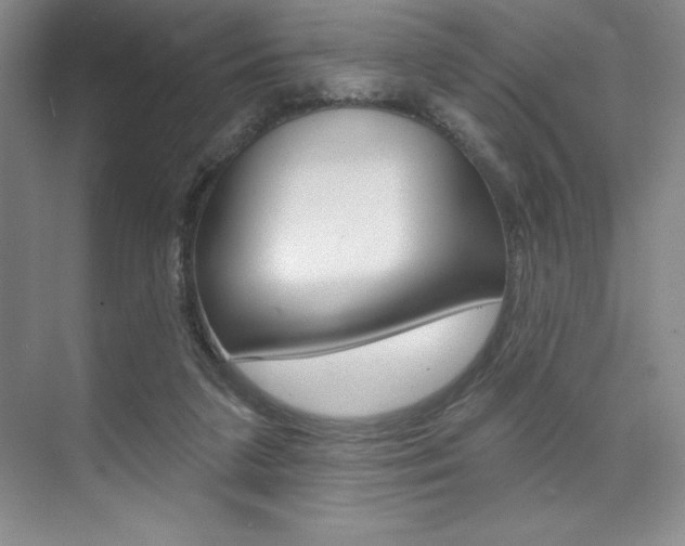 X0000073870211200608101115